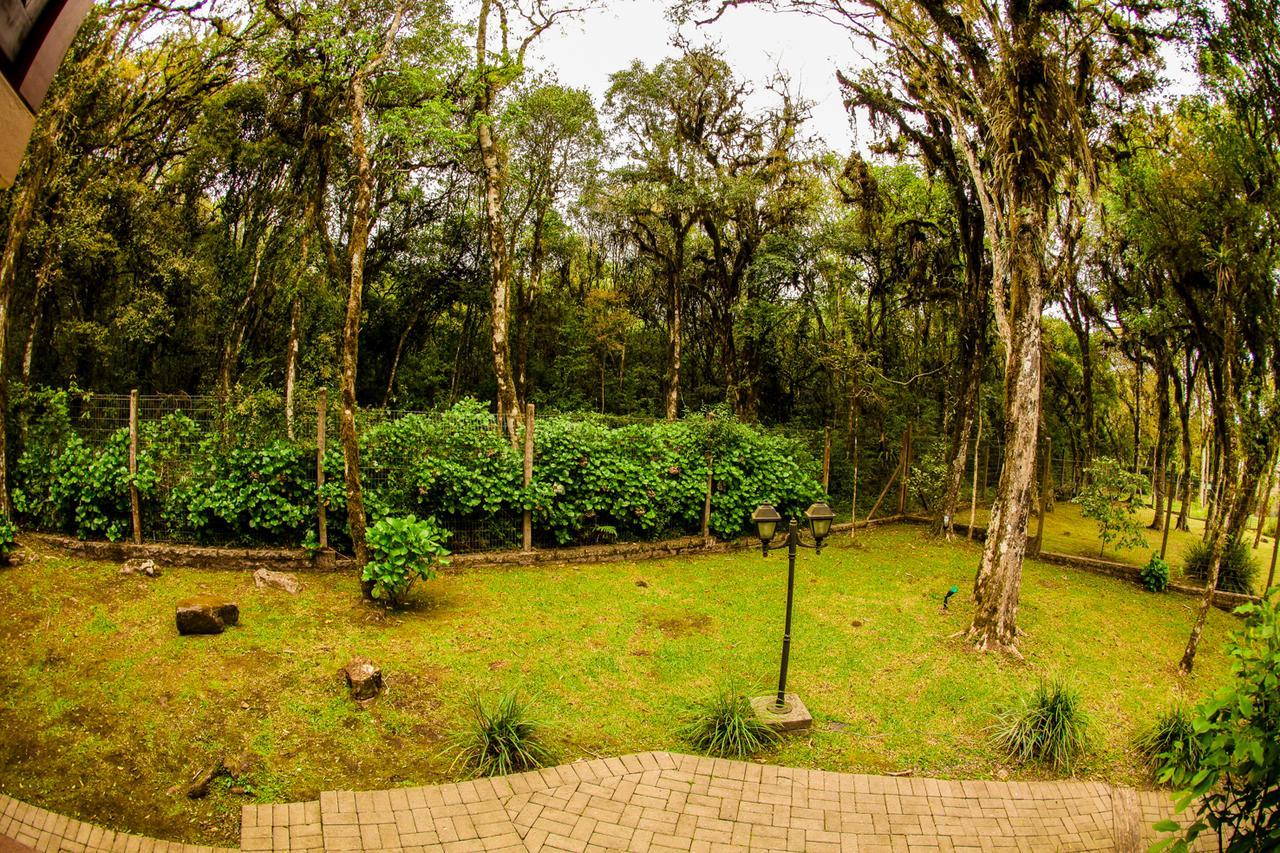 Pousada Das Papoulas Gramado Exteriör bild